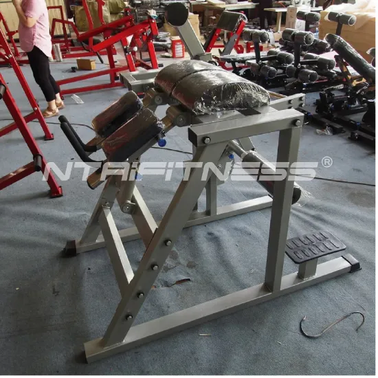 NtaiFitness Reverse Hyper - Heavy Duty Back Extension Machine | Gym-Grade Durability