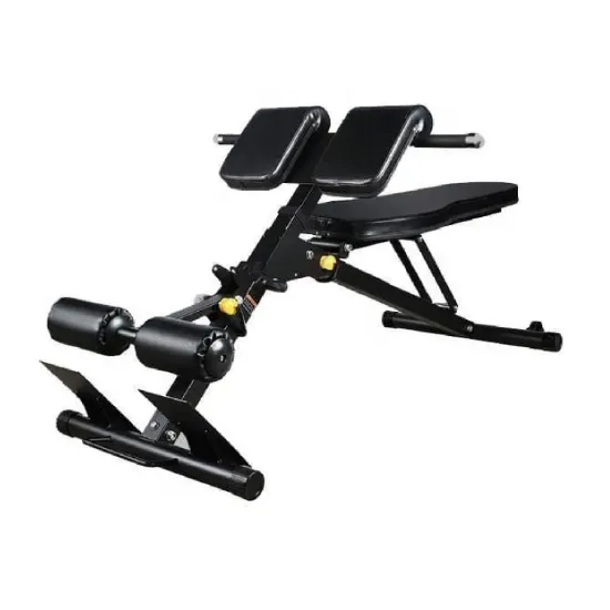 Workout Bench with Back Extension