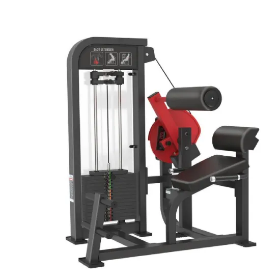 NtaiFitness Hammer Strength Back Extension - Crush Core Workouts | Gym-Grade